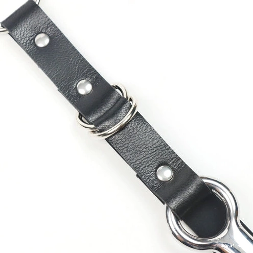 with and Kinky Hook Anal Collar Leash EverydayUse 5853 1028